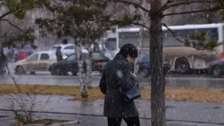 26 апреля в Казахстане местами пройдут дожди