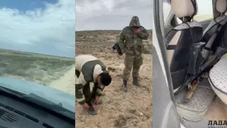 Погоня за браконьерами в Мангистау: уволены двое полицейских