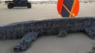 "Таинственную" лодку выбросило на берег в Австралии