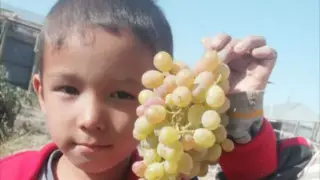 6-летнего мальчика ищут в Кызылорде