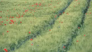 36-градусная жара ждет казахстанцев в праздники