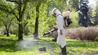 Центральный парк Алматы закроют 1 мая