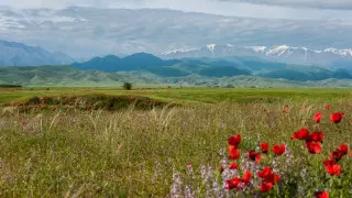 Туристский сбор введут в Казахстане: Токаев подписал новый закон