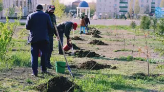 Посадкой деревьев отметили День единства народа Казахстана в ЗКО