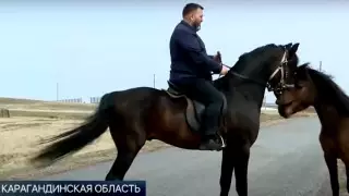 Переехавшая в Германию из казахстанского села семья вернулась назад