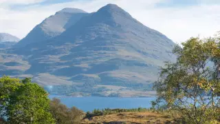 Обнаружен организм возрастом миллиард лет