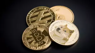 Криптовалюта из шуточного твита Маска выросла на 26 000 процентов