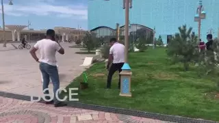 "Покраску травы" в зеленый цвет объяснил акимат Туркестана