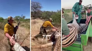 Охотники защищают природу - организатор сафари казахов в Африке