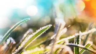 Майские заморозки ожидаются в Казахстане