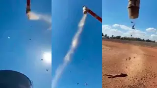 "Дождь из мышей" в Австралии сняли на видео