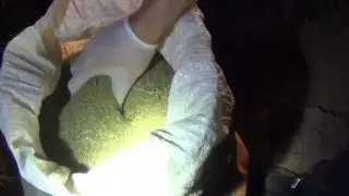 Сельчанин снабжал наркотиками заключенных в Павлодарской области