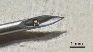 Ученые создали самый маленький чип для вживления в человека