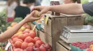 Человечество потеряет треть привычных продуктов - исследование