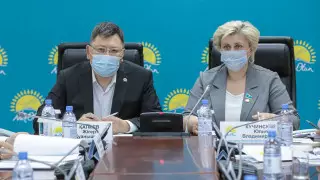 800 миллиардов на 3500 сел. Как Nur Otan исполняет предвыборные обещания