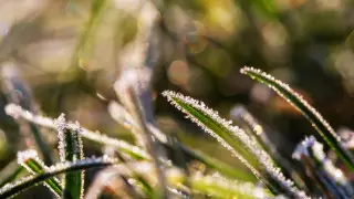 Заморозки и 35-градусная жара: погода в Казахстане на 3 дня