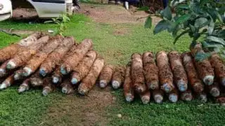 Мужчина нашел во дворе более 100 бомб времен Второй мировой войны