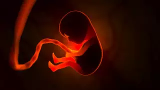 Жесткий закон об абортах приняли в штате США