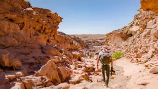 Здесь были Клеопатра и Моисей. Как не заблудиться в природном лабиринте в Египте