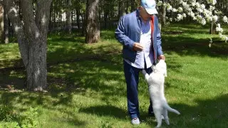 Необычное фото Назарбаева опубликовала пресс-служба