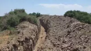 В Туркестанской области обнаружена траншея с сотнями животных