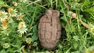 Подросток нашел гранату на придомовом участке в СКО