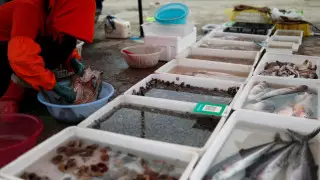 Израиль разрешил палестинцам ловить рыбу у сектора Газа