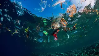 Курортный остров из мусора хотят построить в Индийском океане