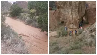 Очевидец снял на видео, как сель накрывает людей в Чарынском каньоне