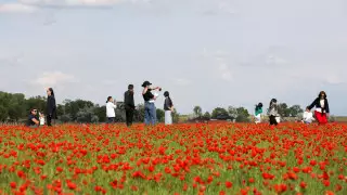 Спад заражений коронавирусом продолжился в Казахстане