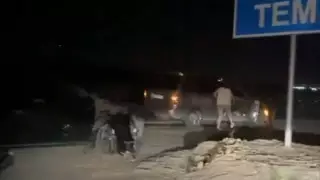 Лошадь спровоцировала тройное ДТП в Карагандинской области