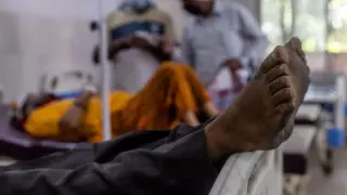 Вспышку "черной плесени" зафиксировали в Ираке