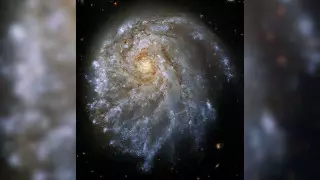 Телескоп "Хаббл" обнаружил деформированную галактику