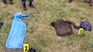 Найдены вещи пропавших туристов в Туркестанской области