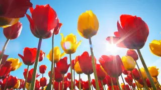 Рекордную жару зафиксировали в мае казахстанские синоптики