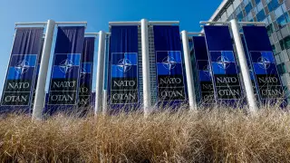 В НАТО призвали Россию исключить США и Чехию из списка недружественных стран