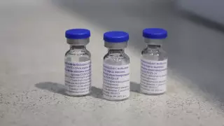 Цой о вакцине QazVac: Никаких секретов нет