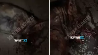 "Қордайдағы құбыжық". Желіде жантүршігерлік видео пайда болды