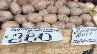 Казахстанцы просят Роналду помочь: мемы о ценах на картофель