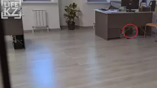 "Спряталась под столом". Блогеры сняли видео в отделе счастья и долголетия Алматы