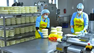 800 миллиардов тенге инвестиций привлекут в Туркестанскую область