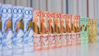 Нацфонд перешел в режим потребления - депутат