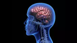 Японские ученые нашли новый метод выявления рака на ранней стадии