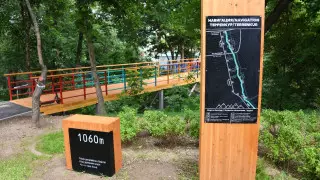 На Терренкуре создается особый микроклимат - Сагинтаев