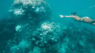 Власти Австралии оспорят заявление ЮНЕСКО