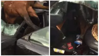 Лошадь воткнулась в лобовое стекло авто близ озера Кольсай