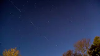 В SpaceX пообещали обеспечить всю планету спутниковым интернетом к сентябрю