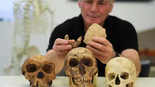 Останки неизвестного ранее вида древнего человека обнаружили в Израиле