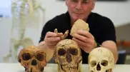 Останки неизвестного ранее вида древнего человека обнаружили в Израиле