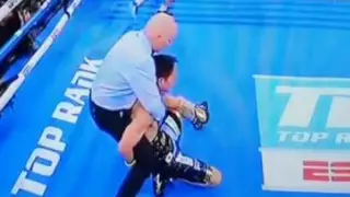 Появились кадры, объясняющие решение рефери остановить бой Ломаченко - Накатани